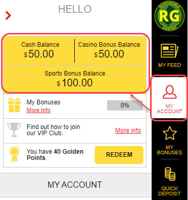 View your Account Balances from the My Account menu