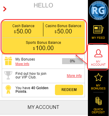 View your Account Balances from the My Account menu