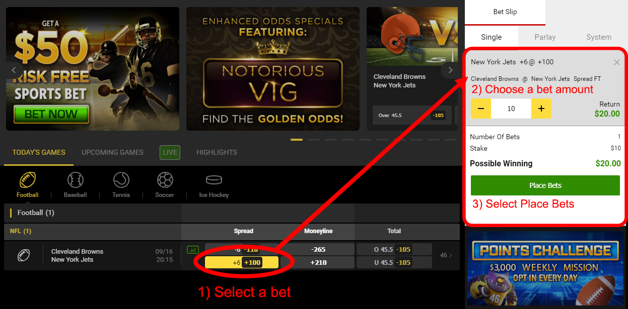 Select a bet you wish to make, choose your bet amount, and place your bet
