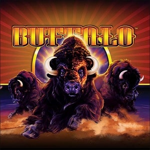 Buffalo