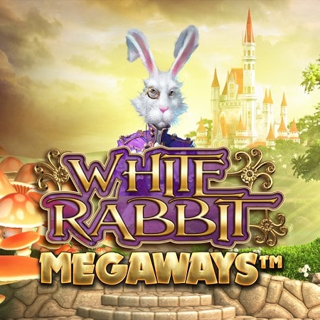 White Rabbit
