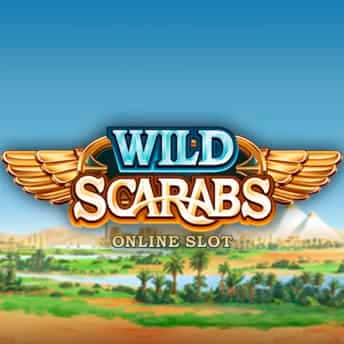 Wild Scarabs