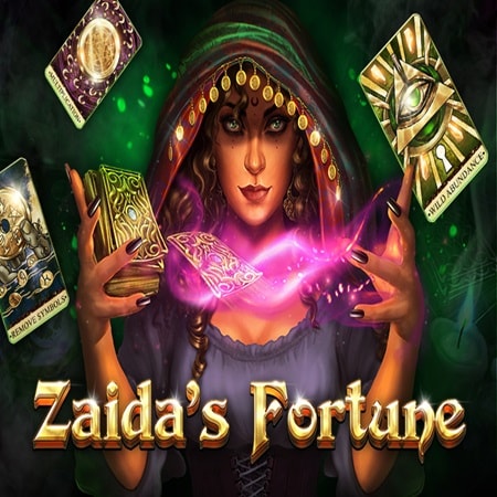 Zaida’s Fortune